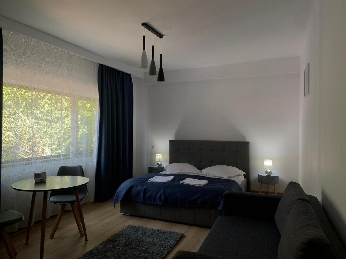 Residence Sinaia Apartments מראה חיצוני תמונה