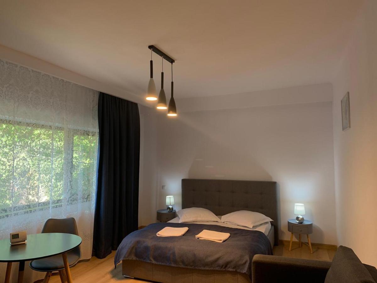 Residence Sinaia Apartments מראה חיצוני תמונה
