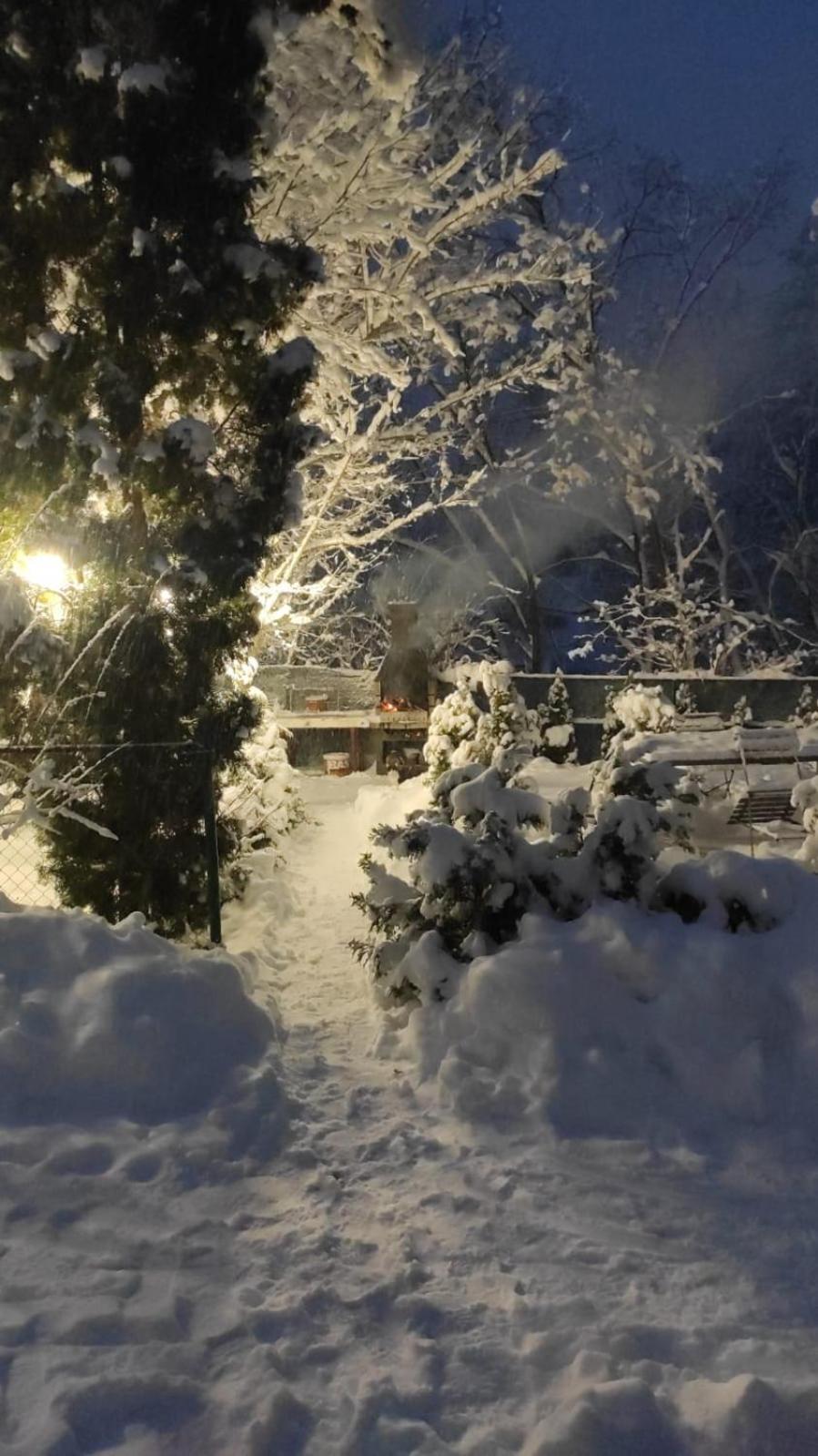Residence Sinaia Apartments מראה חיצוני תמונה