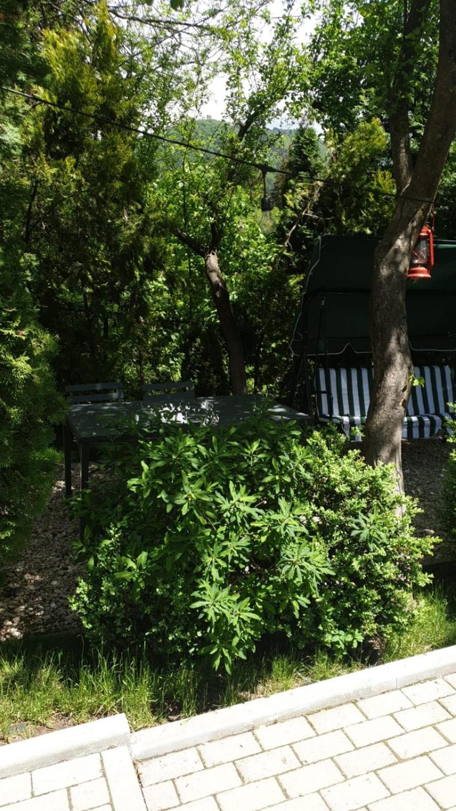Residence Sinaia Apartments מראה חיצוני תמונה