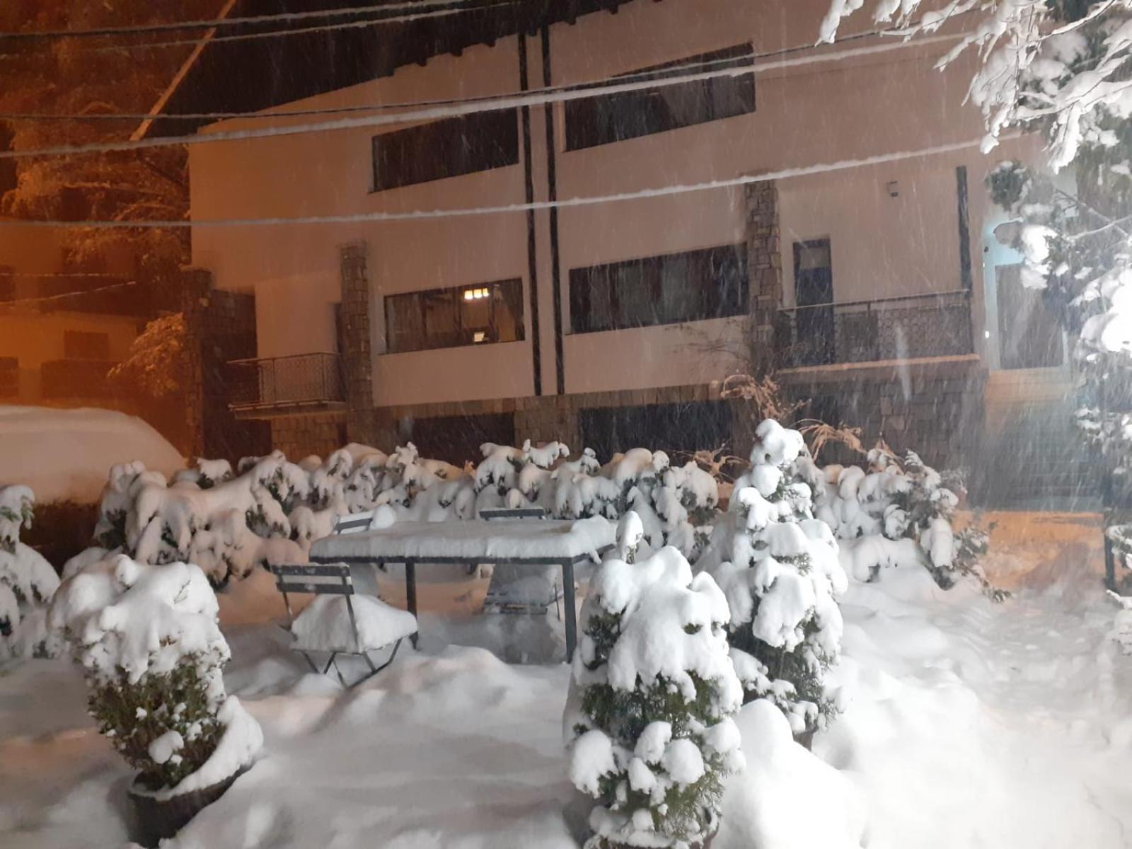 Residence Sinaia Apartments מראה חיצוני תמונה