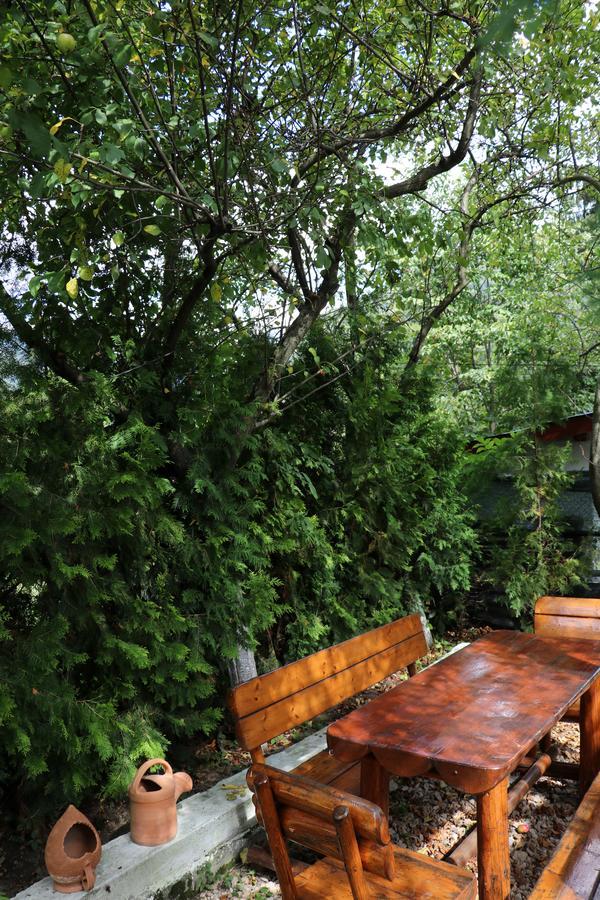Residence Sinaia Apartments מראה חיצוני תמונה