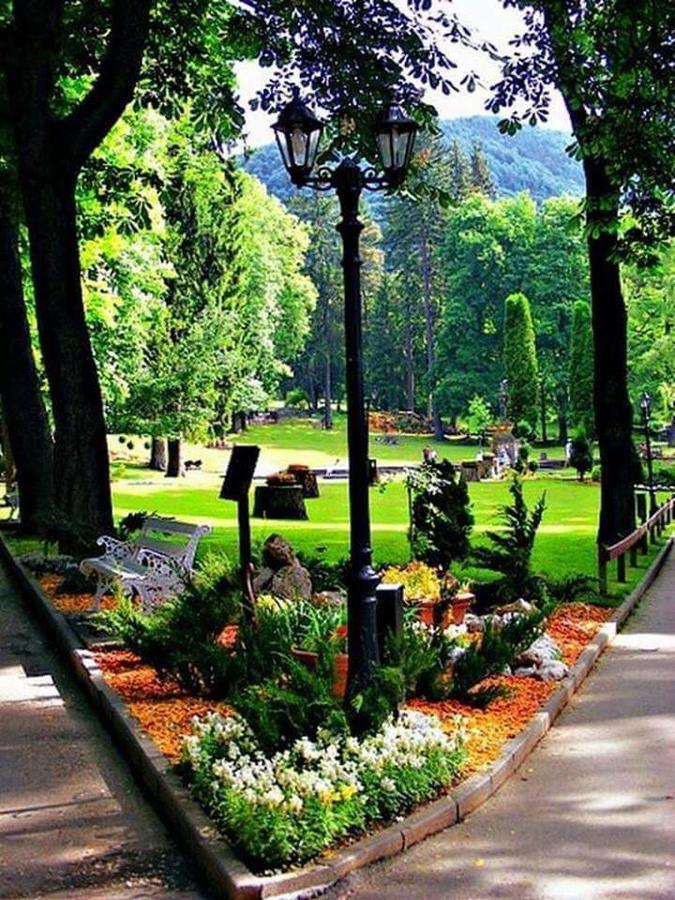 Residence Sinaia Apartments מראה חיצוני תמונה