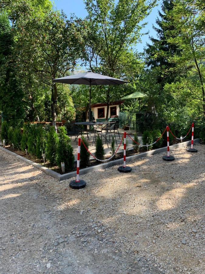 Residence Sinaia Apartments מראה חיצוני תמונה